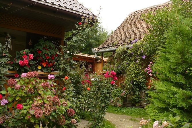 Sibiu Day Trip From Brasov - Inclusions