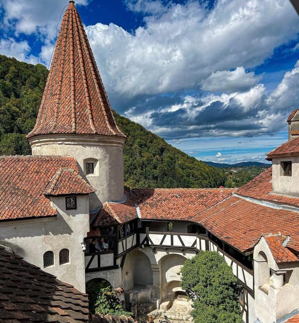 Sibiu: Draculas Castle and Dino Park Day Trip - Itinerary Details