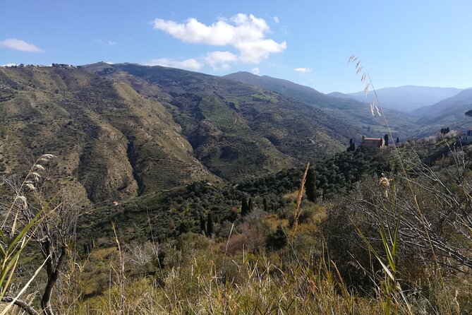 Sicily Private Cooking Class in a Country House  - Cefalù - Traveler Photo Highlights
