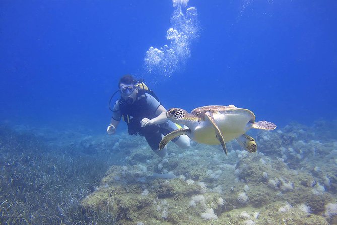 Side: Scuba Diving Under Water Museum - Meeting and Pickup Details
