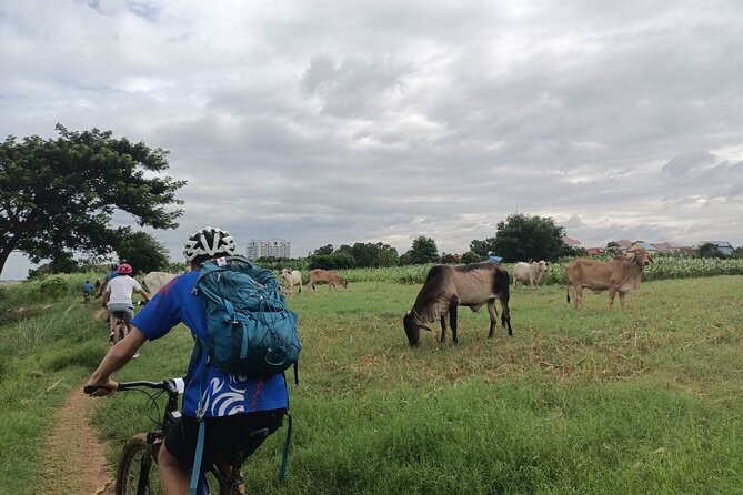 Silk Island at Twilight Cycle Encounter - Schedule and Logistics Details