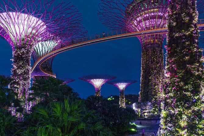 Singapore by Night Top Senic Sightseeing Private Tour - Itinerary Highlights