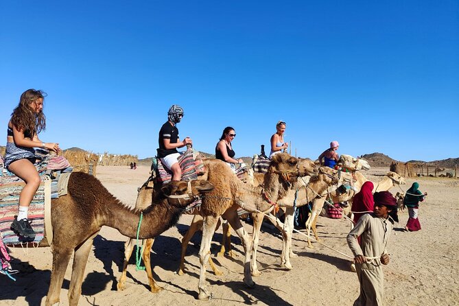 Single Quad Biking in Hurghada - Tour Highlights and Itinerary