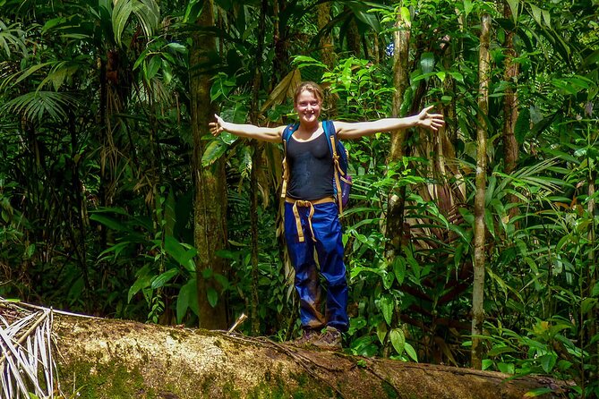 Sinharaja Trekking Trip From Bentota/Kalutara/Hikkaduwa/Galle - Wildlife and Ecosystem