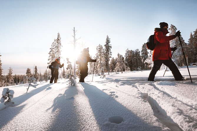 Ski Trekking Safari in Lapland - Exploring the Arctic Wilderness