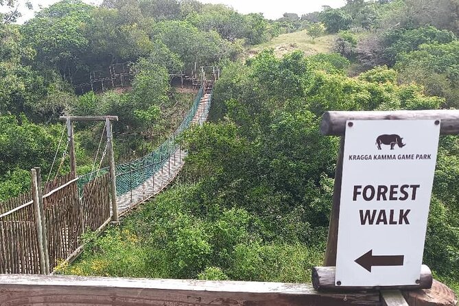 Skip the Line: 2-Hour Guided Game Drive at Kragga Kamma Game Park Ticket - Guided Game Drive Experience