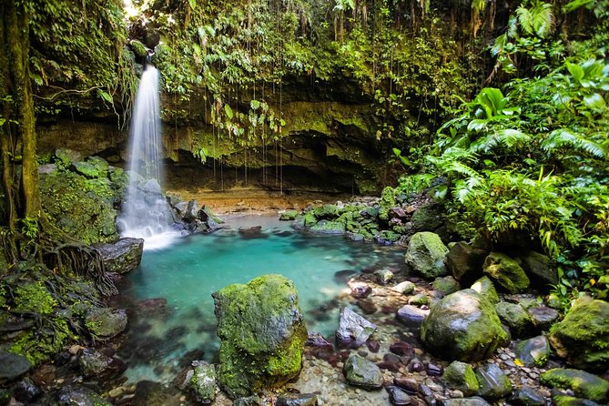 Skip the Line: Admission Ticket to Emerald Pool Nature Trail - Whats Included in the Admission