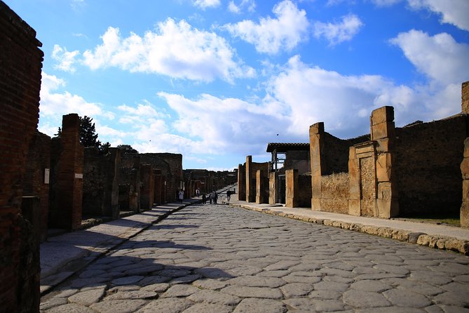Skip-the-Line Exclusive Private Ancient Pompeii & Vesuvius Volcano Full Day Tour - Meeting and Pickup