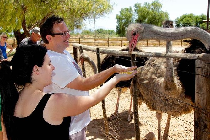 Skip the Line: Highgate Ostrich Farm Tour Ticket - Ticket Inclusions and Pricing