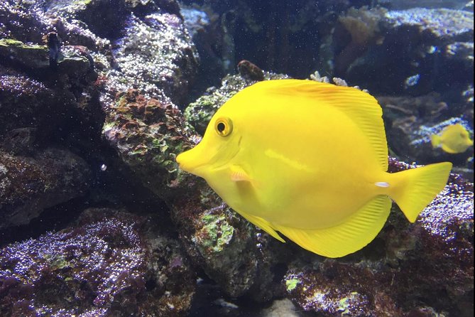 Skip the Line: Santa Marta Marine World Aquarium Admission Ticket and Guide - Planning Your Visit