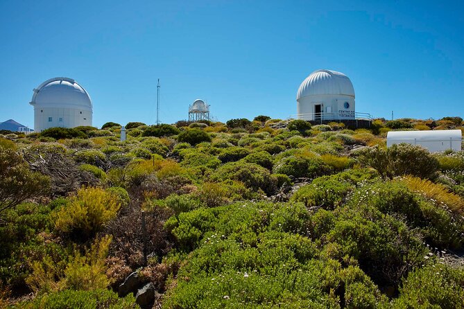 Skip the Line: Teide Observatory Entrance Ticket - Guided Tour Experience