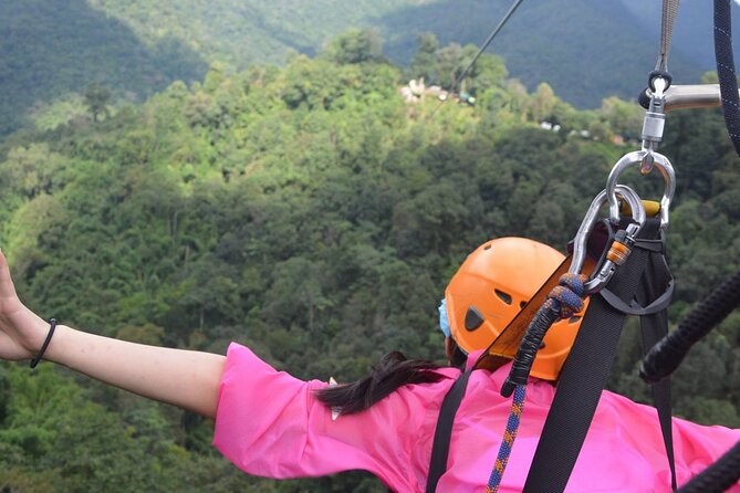 Skyline Jungle Luge - Adventure Activities Offered