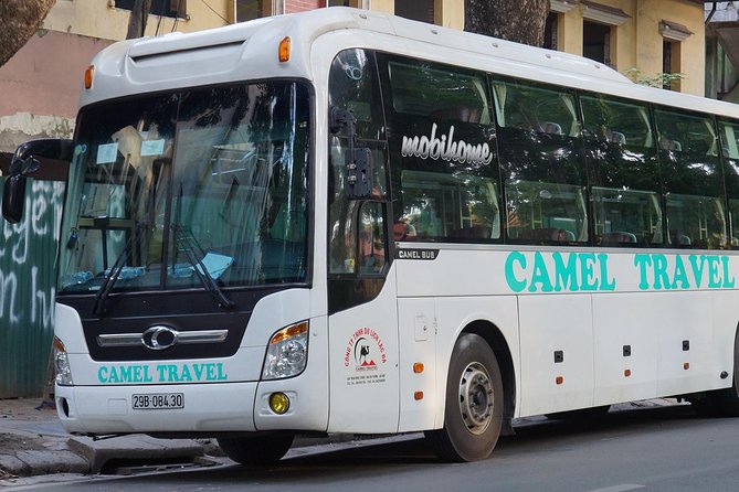 Sleeping Bus Ninh Binh to Hue - Booking Process