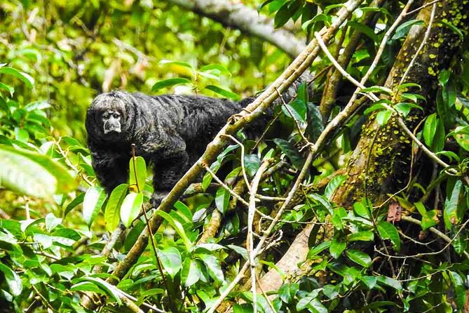 Slow Travel From Quito to Cuyabeno Amazon - Inclusions and Whats Provided