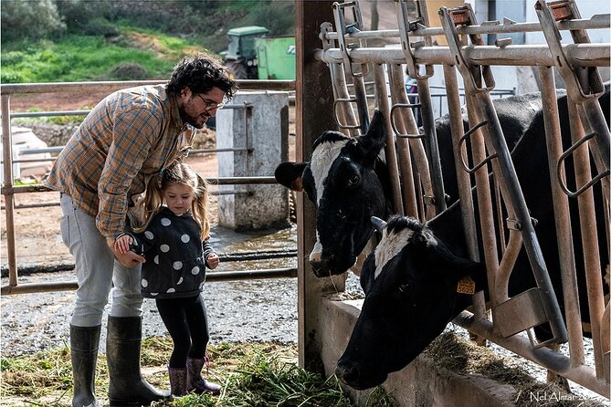 Small Group Cheese Making and Tasting From the Island of Baleares - Making Mahon Cheese Step-by-Step