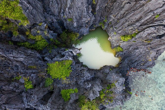 Small-Group El Nido Island Hopping Tour - What to Expect