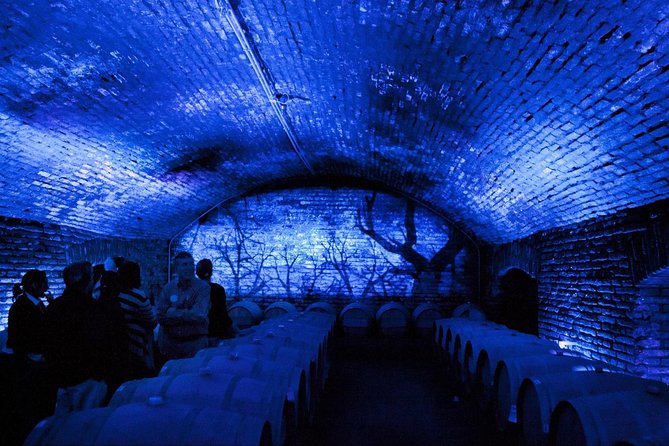 Small-Group Maipo Vineyards Full-Day Experience With Optional Lunch - Itinerary Details