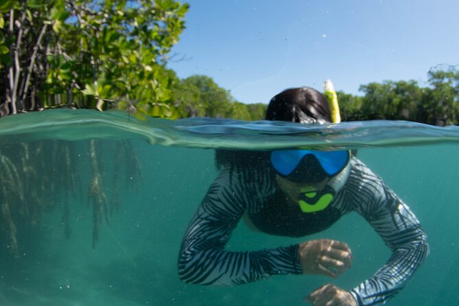 Small-Group Snorkeling Boat Trip in Guánica, Puerto Rico - Accessibility and Health Considerations
