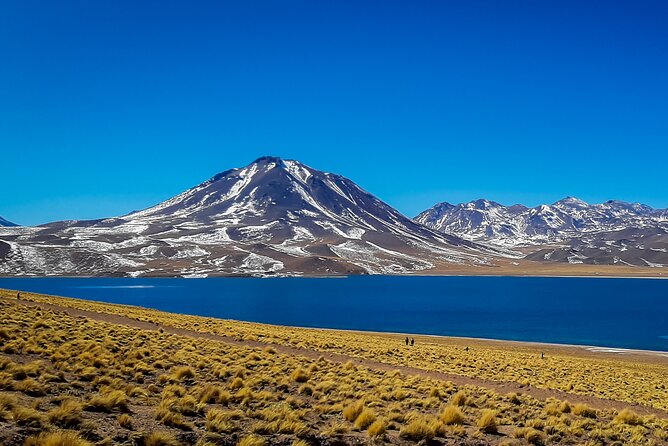Small-Group Tour Altiplanic Lagoons Red Stones & Flamingo Reserve - Atacama Salt Flats Exploration