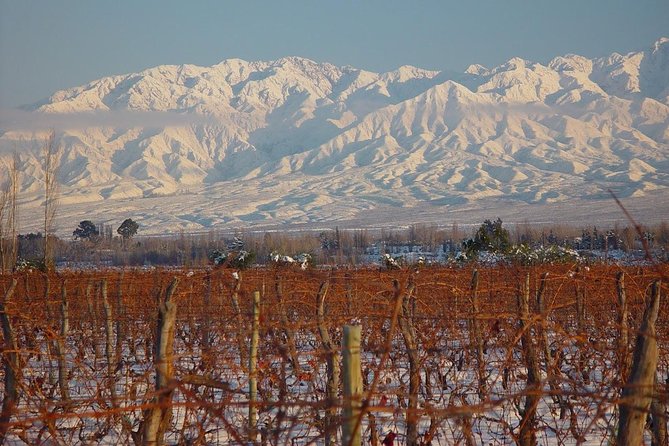 Small Group Tour in 3 Wineries in North Uco Valley With Lunch - Dining Experience
