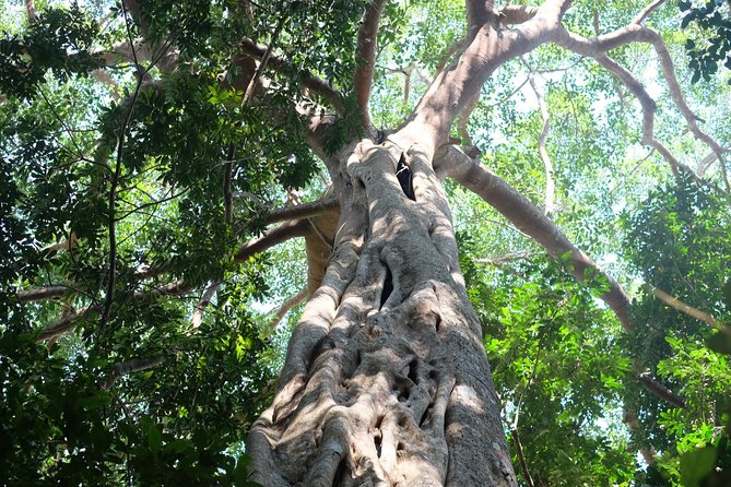 Small Group : Trekking Trip in Chiang Mai (Doi Suthep Area) With Market Tour - Important Exclusions