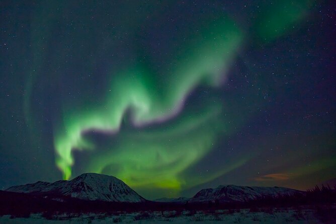 Small Group Yukon Aurora Viewing - Meeting and Transportation