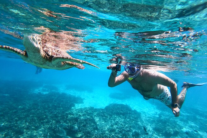 Snorkeling Adventure to Daymaniat Islands - Snorkeling Experiences