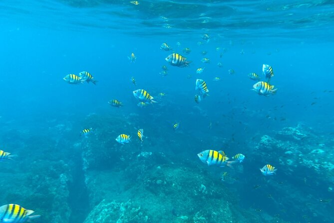 Snorkeling at Caño Island - Tour Itinerary
