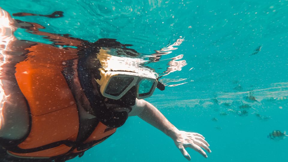 Snorkeling in Negombo - Peak Snorkeling Season