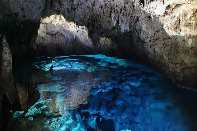 Snorkeling in the Cenotes of Bayahibe - Inclusions and Pickup Details