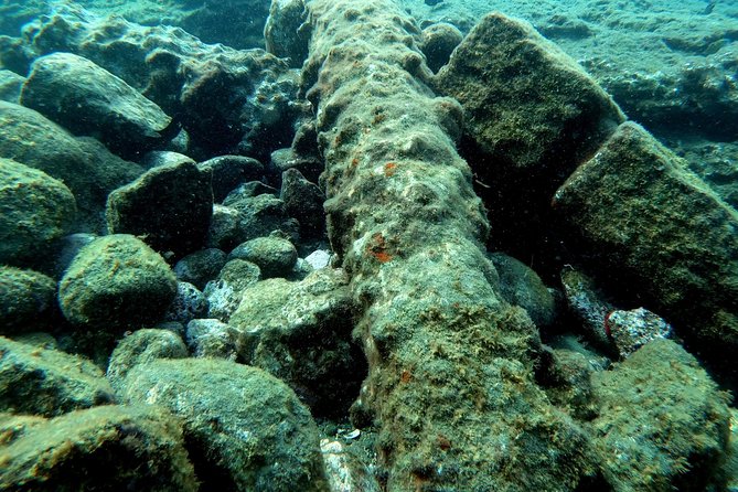 Snorkeling in Vila Franca Do Campo - Meeting and Logistics