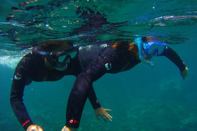 Snorkeling Tour With Sea Turtles and Stingrays - Exploring Malpais De Rasca