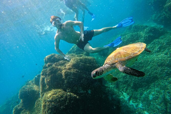 Snorkeling With Turtles in Fujairah With Transfer & BBQ Lunch - Scenic Journey to Fujairah
