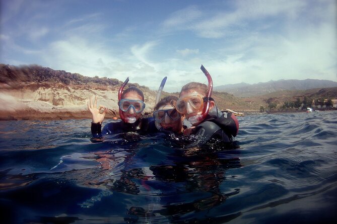 Snorkelling Safari in a Turtle Area - Tips for a Great Experience
