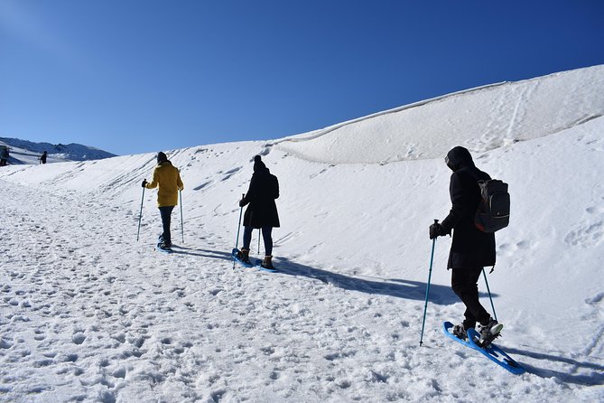 Snowshoe Hiking in Sierra Nevada (Granada) - Recommendations and Ratings
