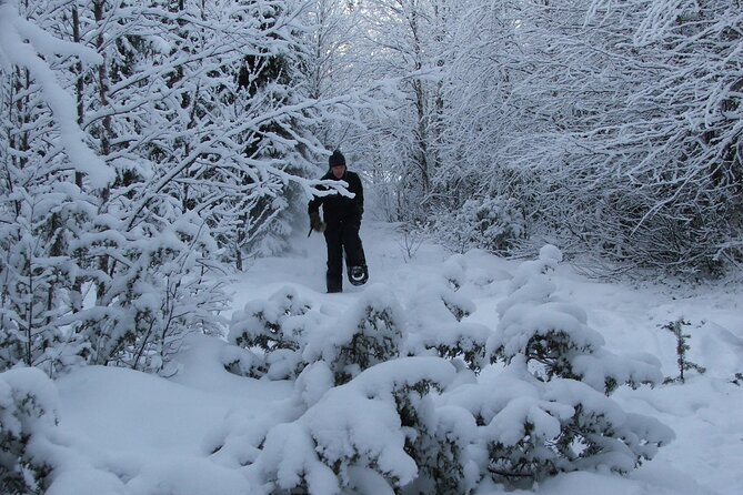 Snowshoe in a Winter Forest - Guide Information