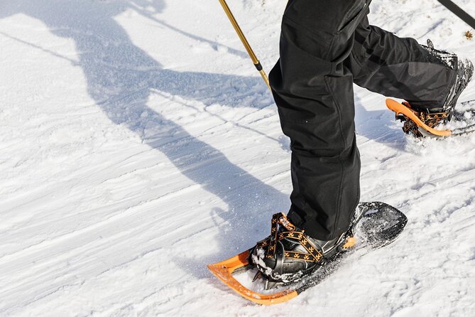 Snowshoe Tour in Winter Wonderland - Oslo - Transportation and Meeting Point