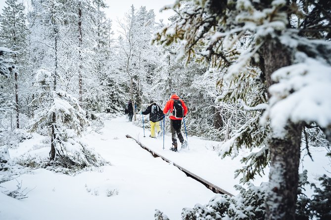 Snowshoe Winter Hike From Stockholm - Itinerary