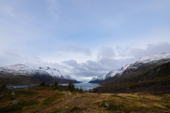 Sommarøy Arctic Day Trip - Inclusions and Meeting Point