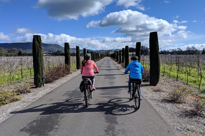 Sonoma Valley Pedal Assist Bike Tour - Inclusions and Amenities