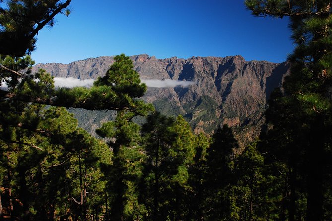 Special Cruise Tour Center and South La Palma Review - Pickup Information and Accessibility