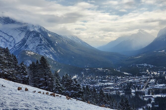 Spectacular Banff Day Trip - Transportation and Amenities