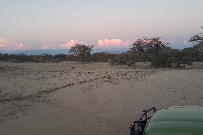 Spitzkoppe Day Tour From Swakopmund - Health and Accessibility