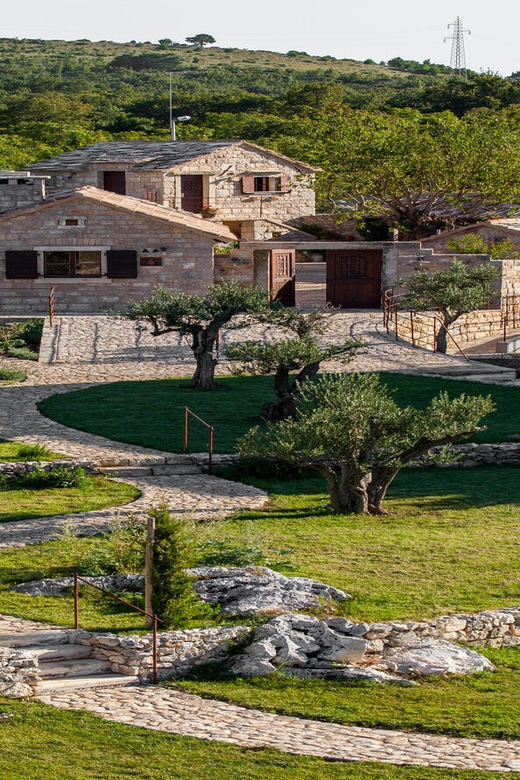 Split: Olive Museum Klis With Olive Oil Tasting - Tour Highlights