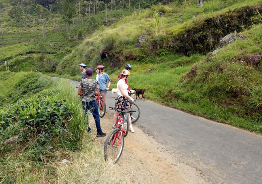 Sri Lanka: 4-Hour Guided Cycling Tour of Ella - Itinerary Highlights