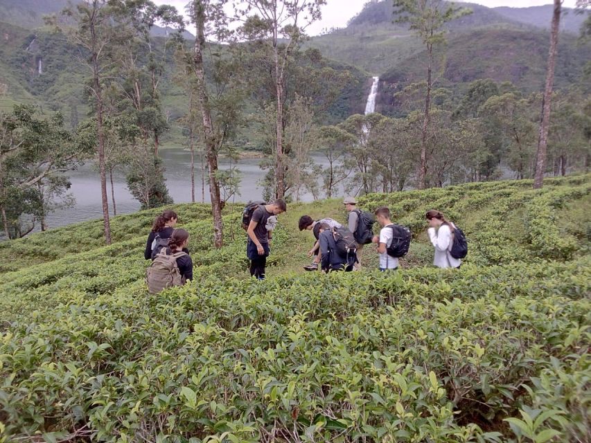 Sri Lanka Holidays With 5 Days Trekking the Pekoe Trail - Trekking Itinerary