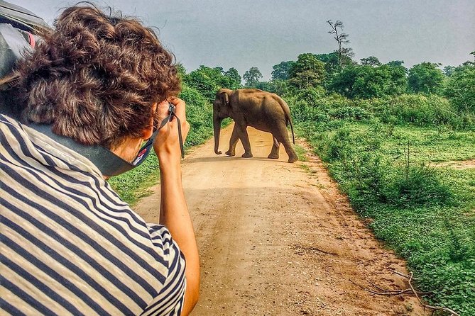 Sri Lanka Tour Itinerary . 6n/7d With Driver, Vehicle and H/B Accommodations - Key Attractions