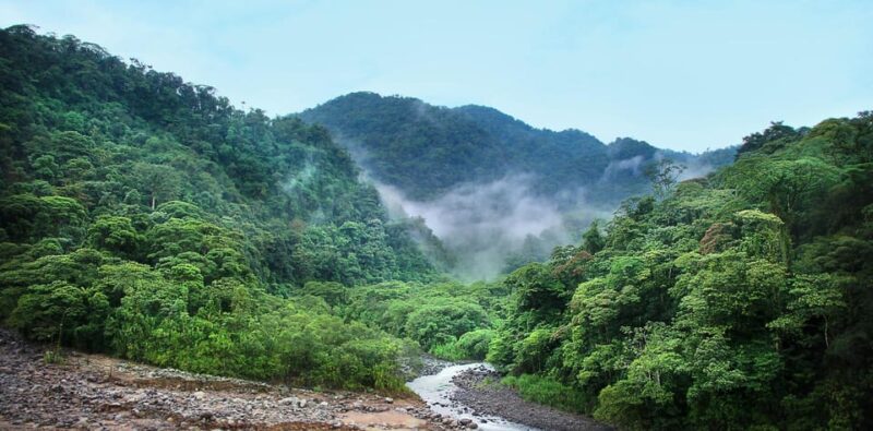Sri Lanka Trekking, Hiking 5 Days Tour - Itinerary Highlights
