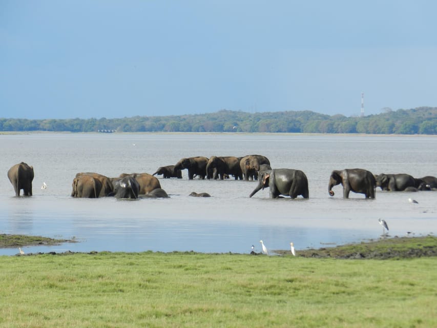 Sri Lanka Wildlife Galore 3-Nights Tour - Wildlife and Nature Experiences