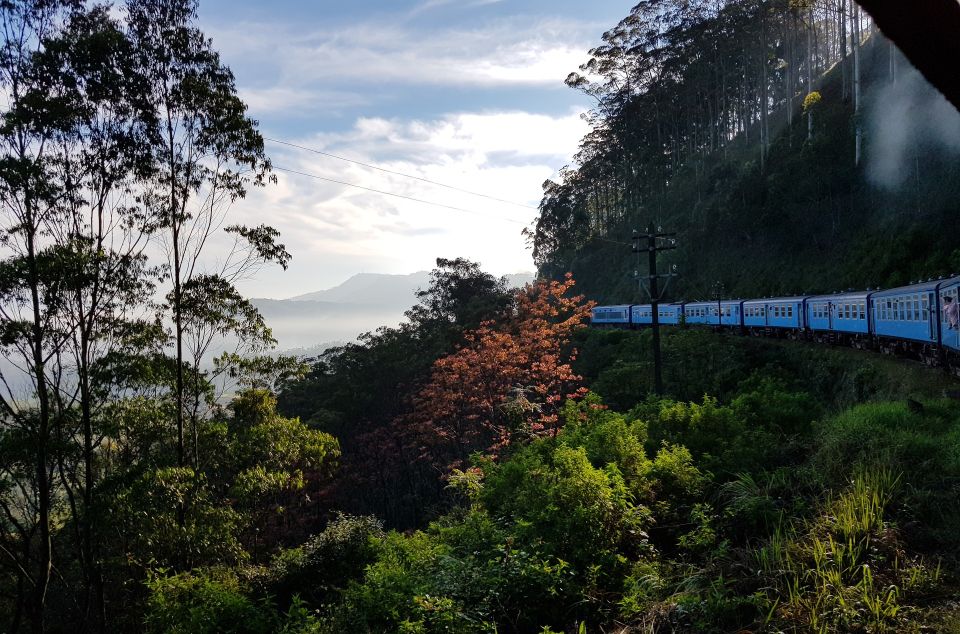 Sri Lanka Wildlife, Udawalawe, Sinharaja, Hill Country Train - Itinerary Highlights